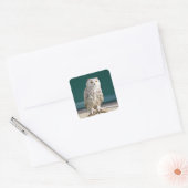 Witte Uil Perched Sticker/Seal Vierkante Sticker (Envelop)