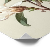 Witte Vanille Bloemen Art Print Poster (Hoek)