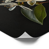 Witte Vanille Bloemen Art Print Poster (Hoek)