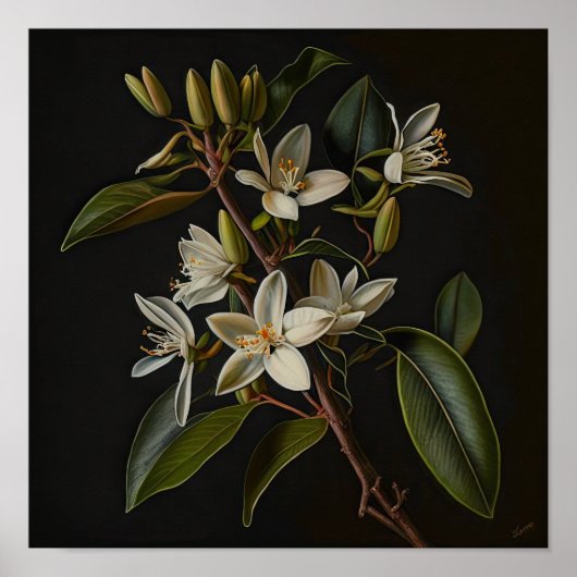 Witte Vanille Bloemen Art Print Poster (Voorkant)