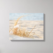 Witte veer in strandgras canvas afdruk (Voorkant)