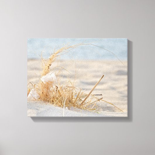 Witte veer in strandgras canvas afdruk (Voorkant)