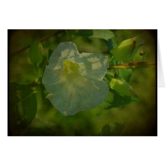  witte ventilator (Voorkant Horizontaal)