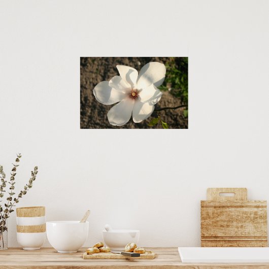 Witte ventilator poster (Keuken)