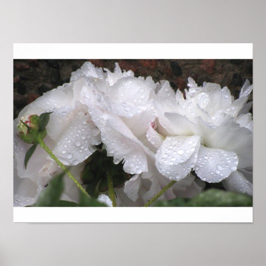 Witte ventilator poster (Voorkant)