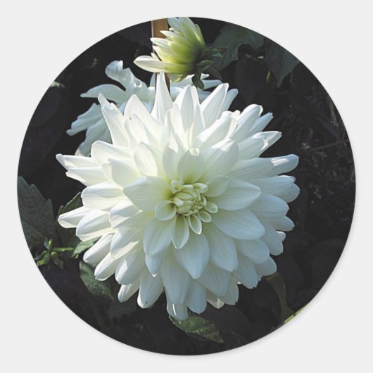 Witte ventilator ronde sticker (Voorkant)