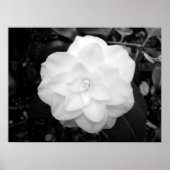 Witte ventilator. (zwart en wit) poster (Voorkant)