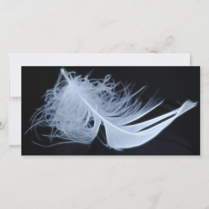 Witte veren - angelisch per natuur