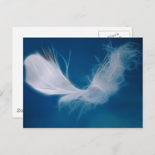 Witte veren kunst - symbool van zuiverheid en onsc briefkaart (Voorkant / Achterkant)