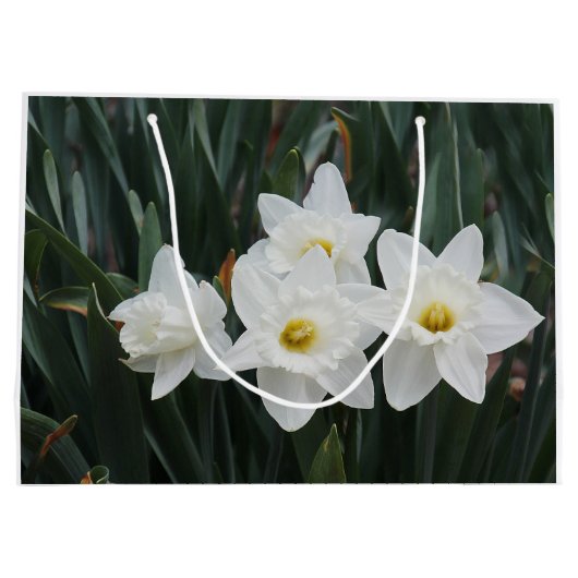 witte vleermuizen large cadeautasje (Achterkant)