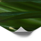 witte vlekjes poster (Hoek)