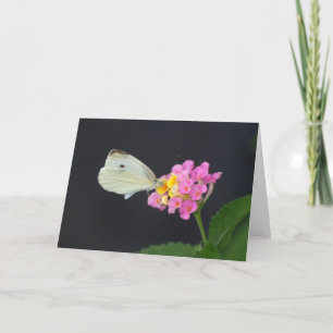 Witte Vlinder op Lantana - kaart