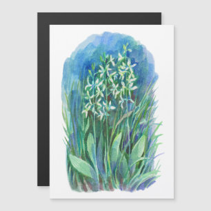 Witte vlinder orchidee lente bloem schilderij