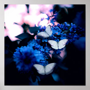 Witte vlinders Blauwe bloemen, vlinder Poster