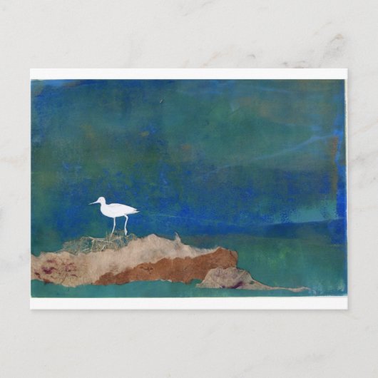 Witte vogel briefkaart (Voorkant)