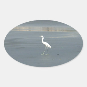 Witte vogel op grijs zand strand art print ovale sticker