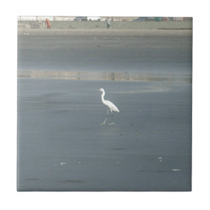 Witte vogel op grijs zand strand art print tegeltje