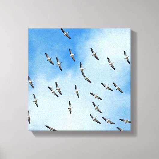 Witte vogels in Flight Canvas Print (Voorkant)