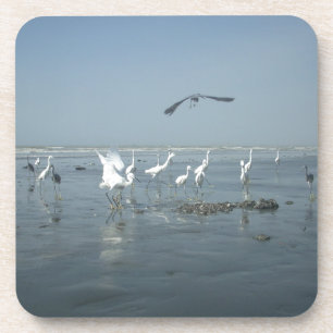 Witte vogels met hakuna matata.JPG Bier Onderzetter