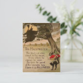 Witte volle Moon Pumpkin Black Cat Briefkaart (Staand voorkant)