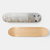 Witte vos skateboard (Horizontaal)