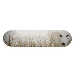 Witte vos skateboard