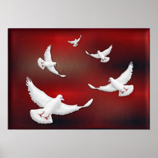 WITTE VREDE DOVES POSTER