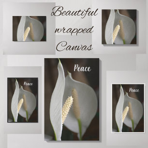 Witte Vrede Lelie Bloemen Elegant Fotografisch Canvas Afdruk