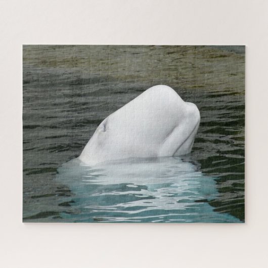 Witte walvissen legpuzzel (Horizontaal)