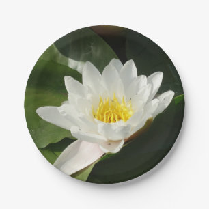 Witte Waterlelie, Lotus Bloemdocument Bord