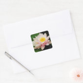 Witte Waterlelie/Lotus Flower Sticker (Envelop)