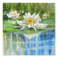 Witte waterlelie Nymphaea alba Poster