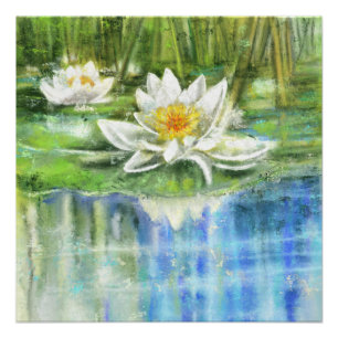 Witte waterlelie Nymphaea alba Poster Perfect Poster