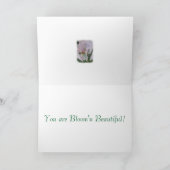 WITTE WATERVERF IRIS, DANK JE KAART (Binnen)