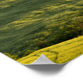 Witte weg in het poster Toscane (Hoek)