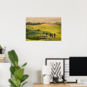 Witte weg in het poster Toscane (Thuiskantoor)
