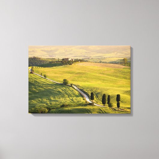 Witte weg in Toscane landschap canvas print (Voorkant)