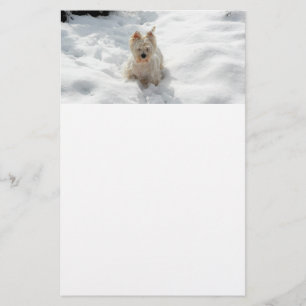 Witte Westie Hond in Sneeuw Stationery Papier