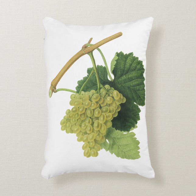 Witte wijndruiven op de wijnstok,  voedingsvruchte accent kussen (Voorkant(Verticaal))