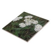 Witte Wildbloem Tile Tegeltje (Zijkant)