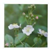 Witte wilde bloemen tegeltje (Voorkant)