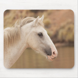 Witte wilde paarden muismat