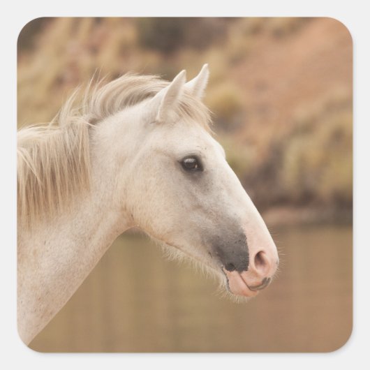 Witte wilde paarden vierkante sticker (Voorkant)