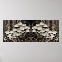 Witte Wilde Paddestoel Cluster Spiegel Abstract