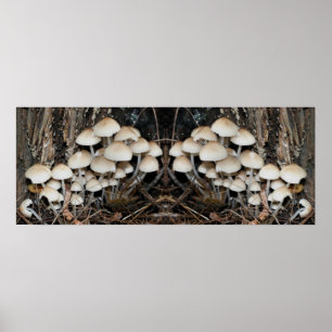 Witte Wilde Paddestoel Cluster Spiegel Abstract Poster