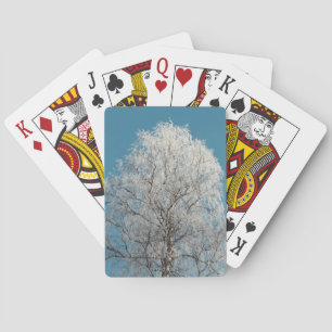 Witte wilgenboom tegen wolkenloze blauwe hemel pokerkaarten
