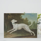 Witte windhond kaart (Staand voorkant)