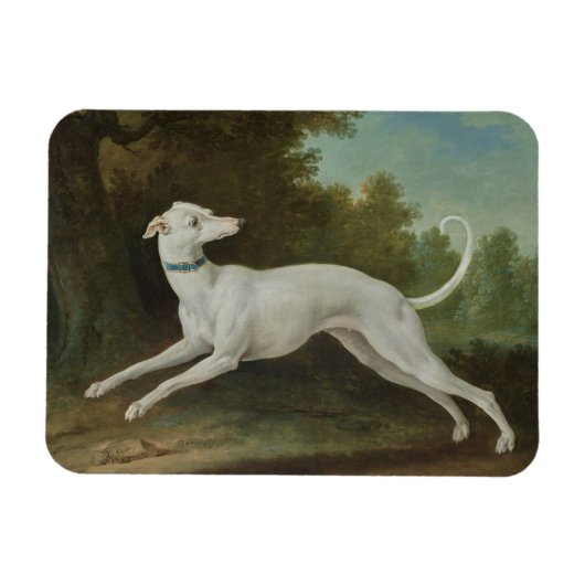Witte windhond magneet (Horizontaal)