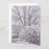 Witte winterse scène feestdagenkaart (Voorkant / Achterkant)