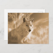 WITTE WIT BOEST BRIEFKAART (Voorkant / Achterkant)